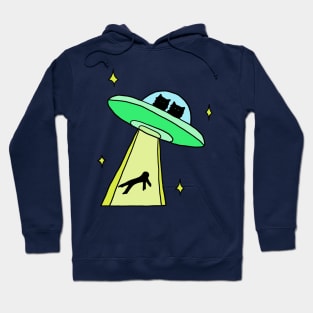 cat alien abduction Hoodie